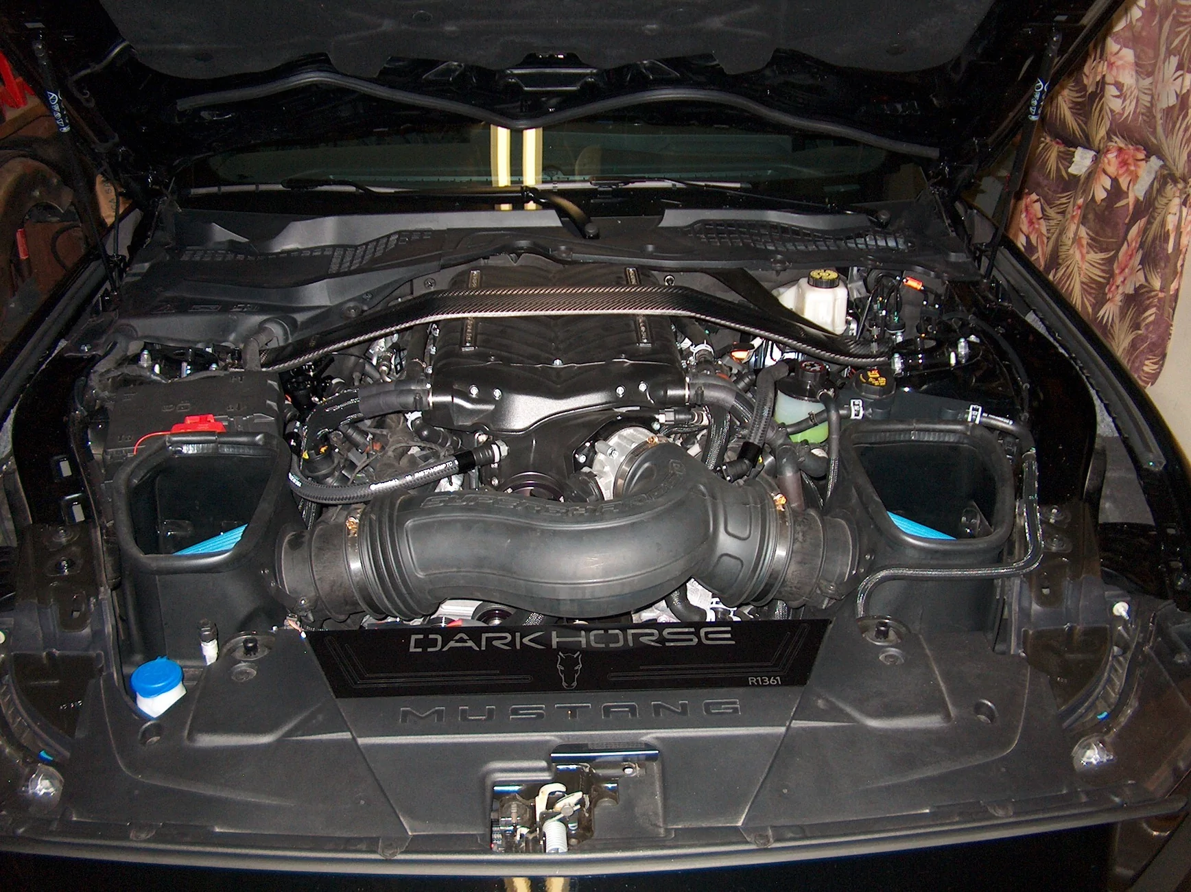 S650 Mustang any shock tower braces for us whipple guys HPIM3083