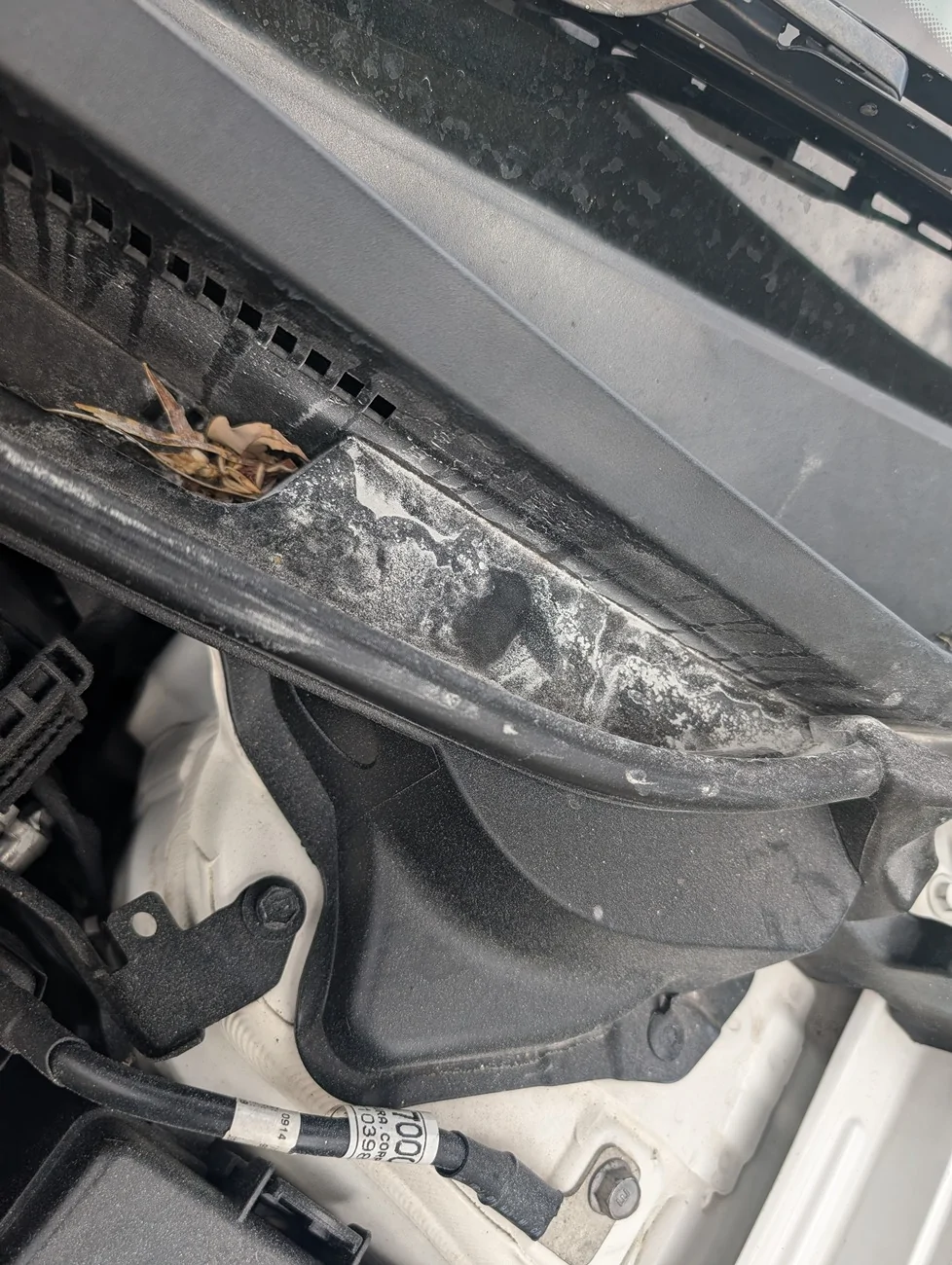 S650 Mustang Insurance for 2024 S650 Mustang PXL_20260109_085207370