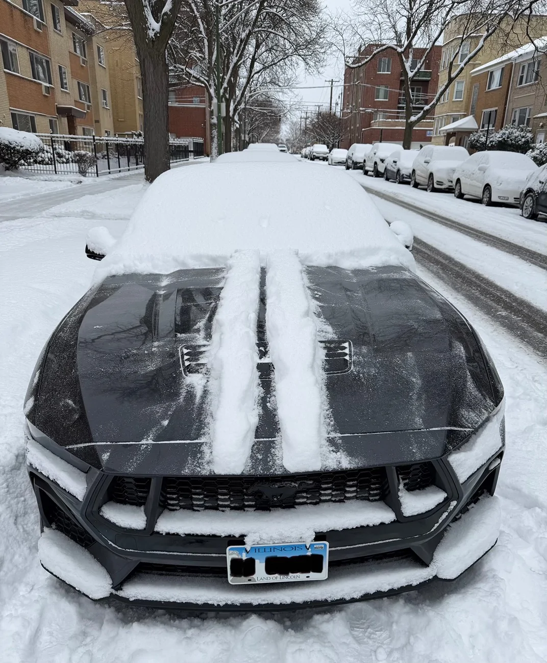 S650 Mustang Share some Winter Driving Pics and experience  (it won't melt) IMG_0203