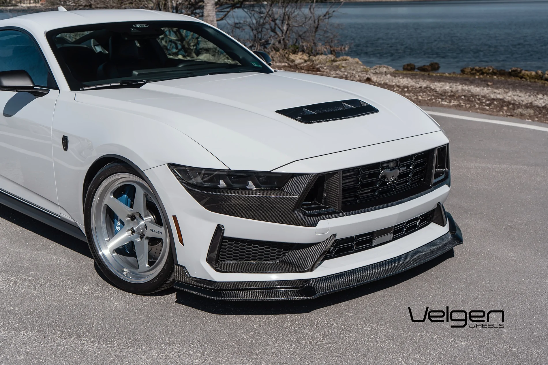 S650 Mustang What did you do to your S650 Mustang today?? 🙋🏻‍♂️ DSC00852