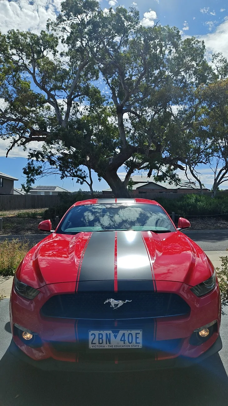S650 Mustang Need opinions on first performance upgrades on my s550 1000018426