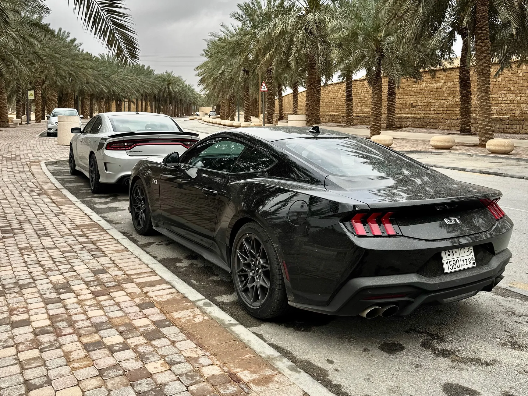 S650 Mustang Cool Daily Random S650 Mustang Pics -- Post Yours! 📸 IMG_2650