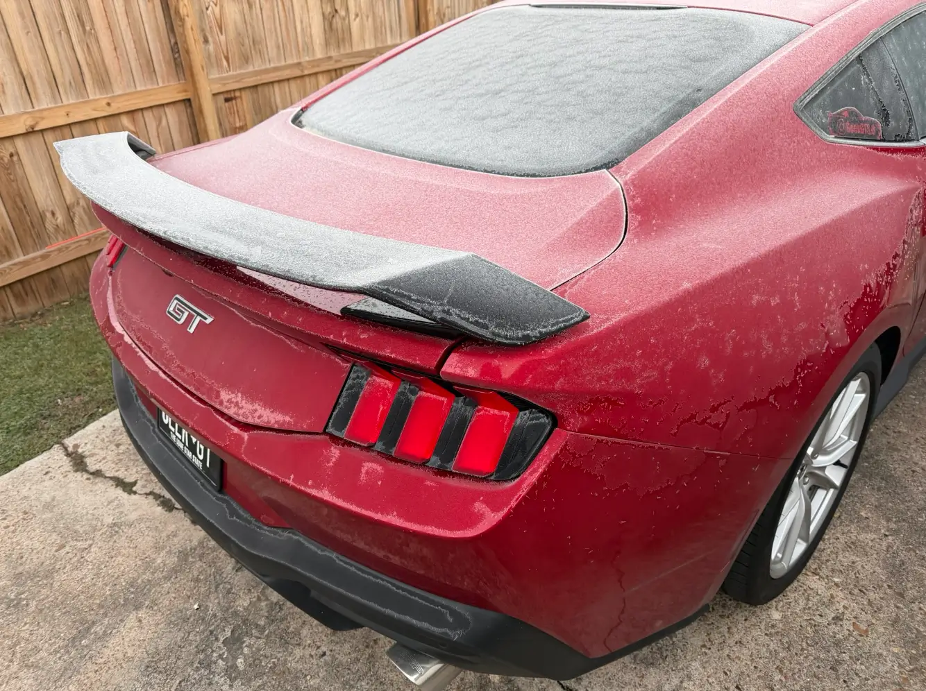 S650 Mustang Share some Winter Driving Pics and experience  (it won't melt) 1769613372573-cl