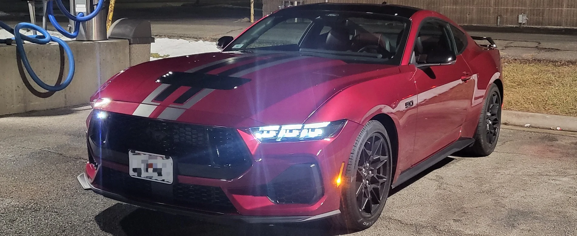 S650 Mustang Official MOLTEN MAGENTA Mustang S650 Thread 20260206_031454