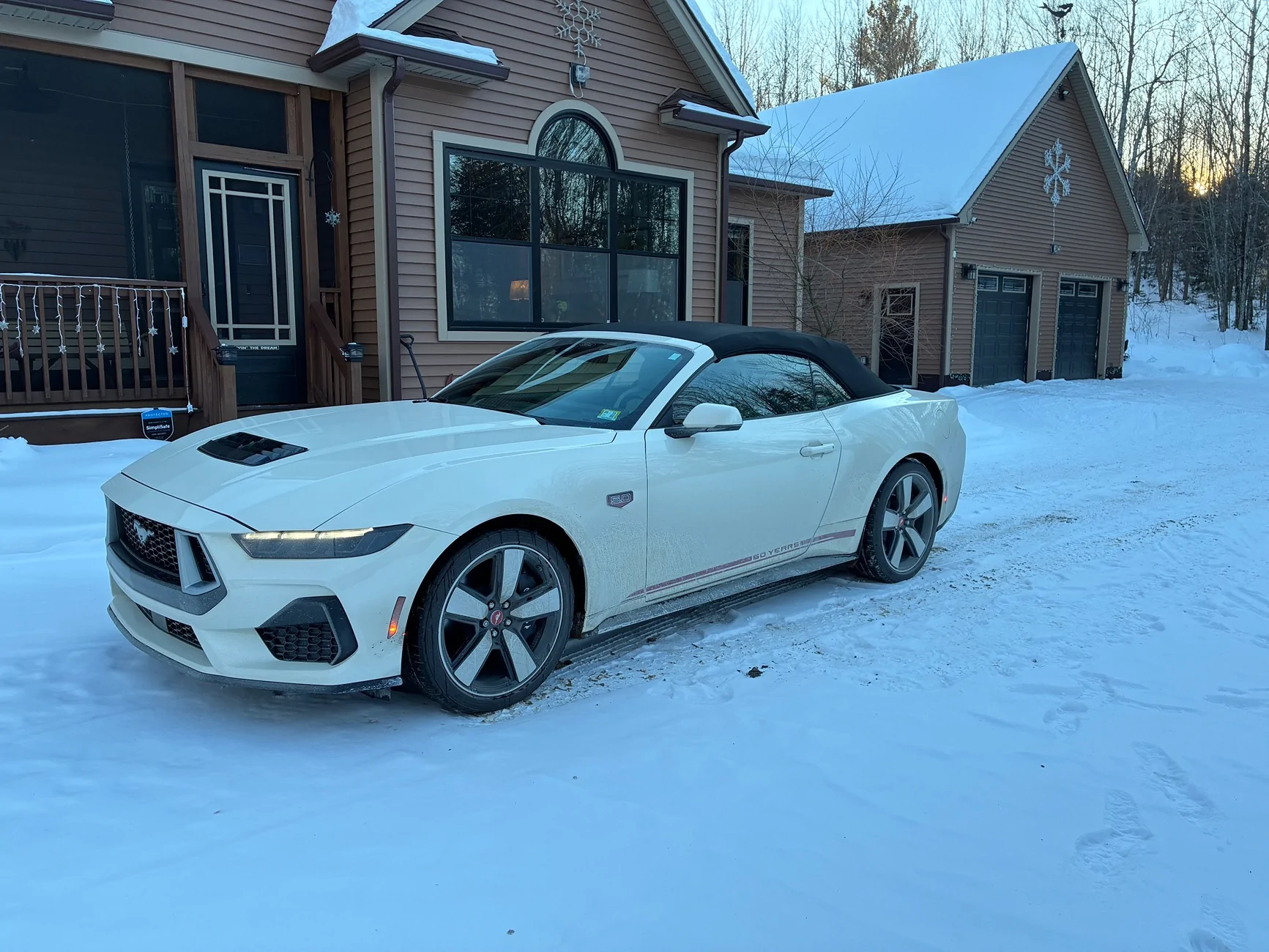 S650 Mustang GOTCHA Day was today IMG_1394
