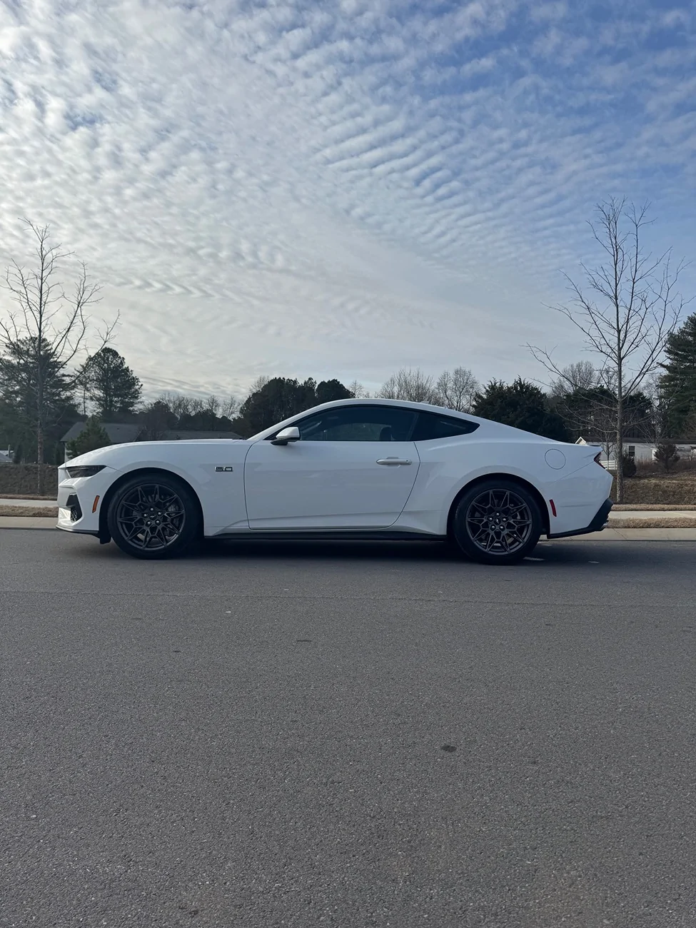 S650 Mustang PP wheels with 295/40 tires IMG_6132