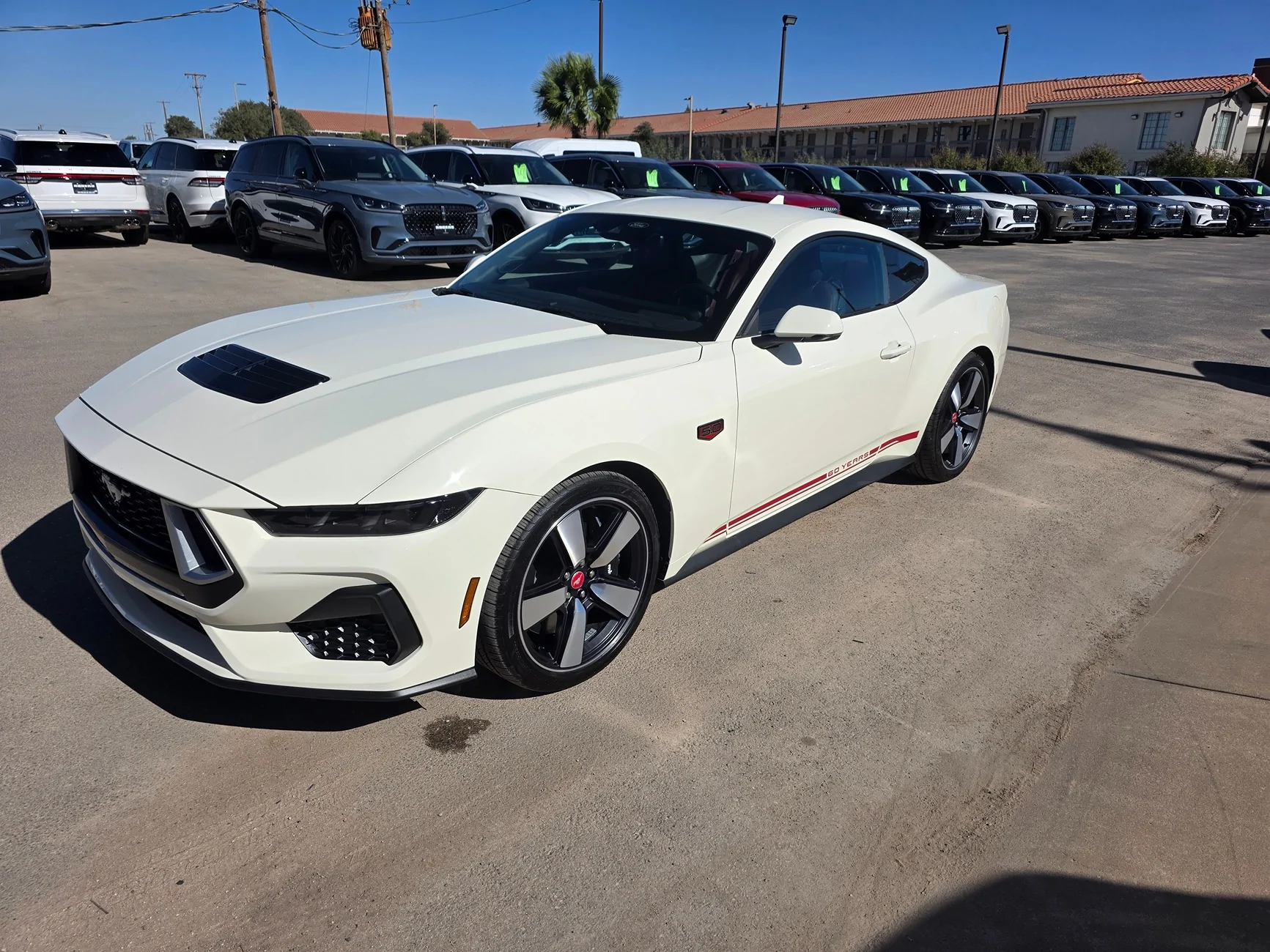 S650 Mustang Unofficial 2025 60th Anniversary Edition Mustang Registry 20251021_113722