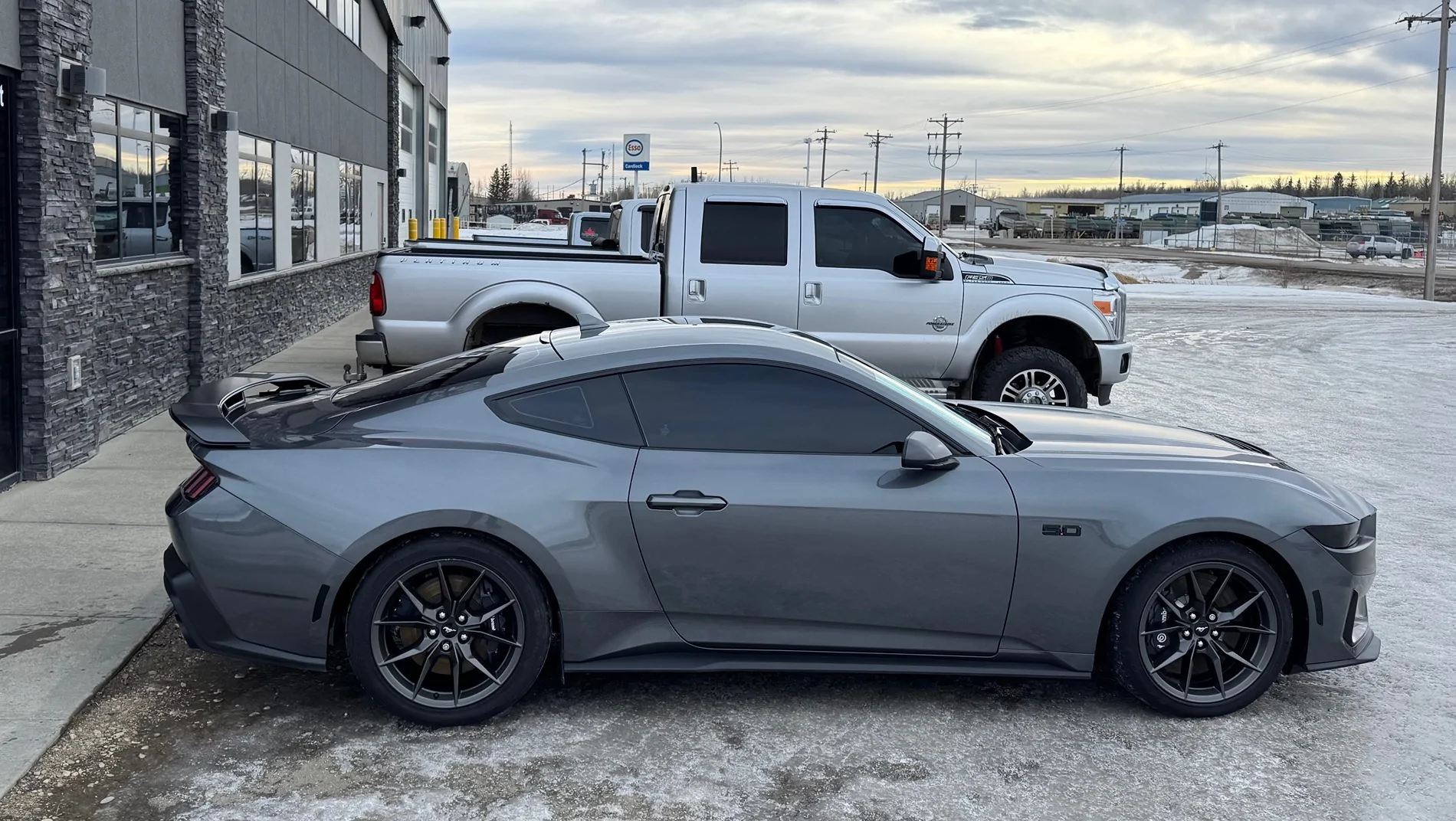 S650 Mustang Cool Daily Random S650 Mustang Pics -- Post Yours! 📸 D72C2602-7A31-4D86-BC00-79585DBD0D8A