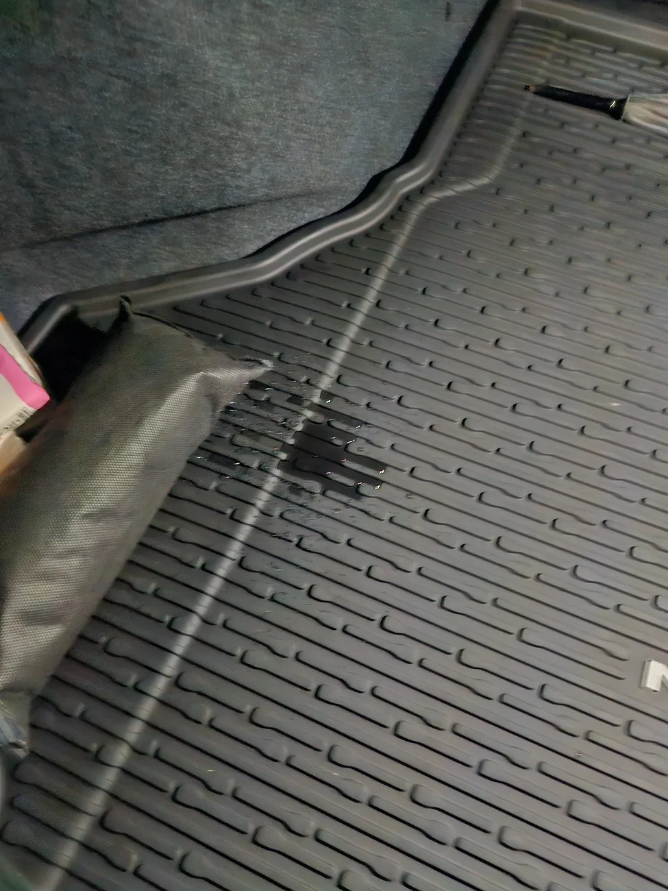 S650 Mustang Water leaking into Trunk 20260211_054009
