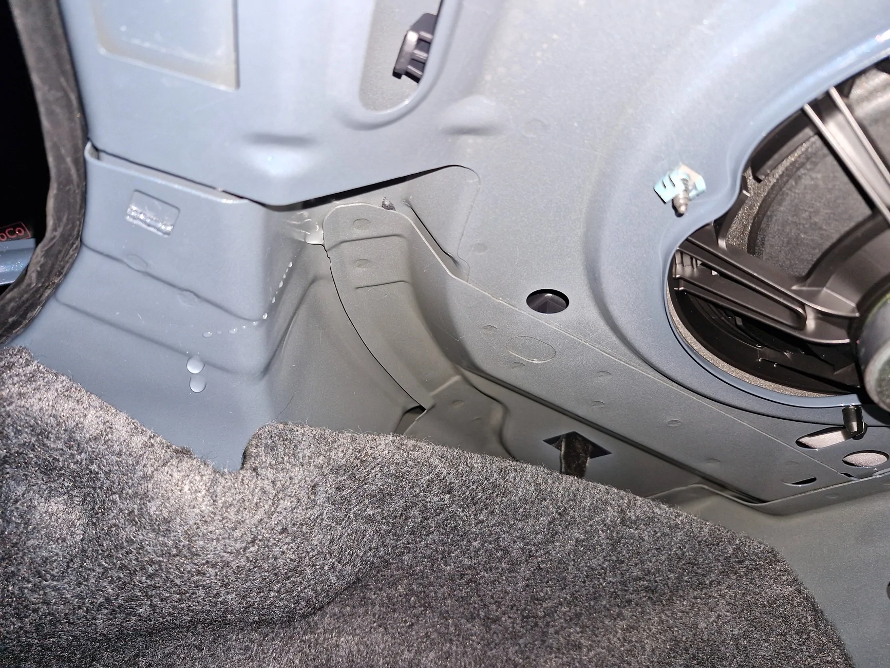 S650 Mustang Water leaking into Trunk 20260211_054033