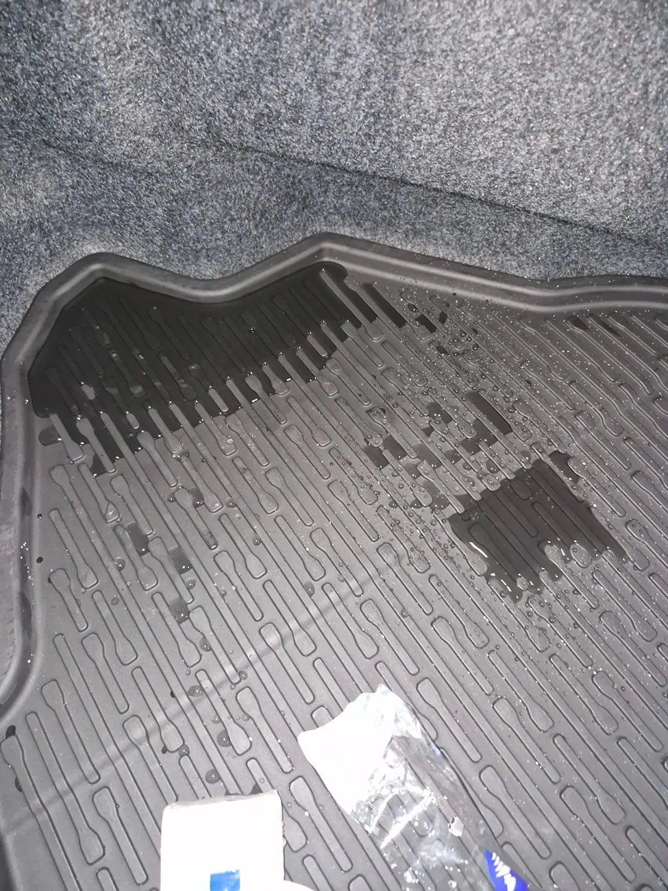 S650 Mustang Water leaking into Trunk 20260212_054531