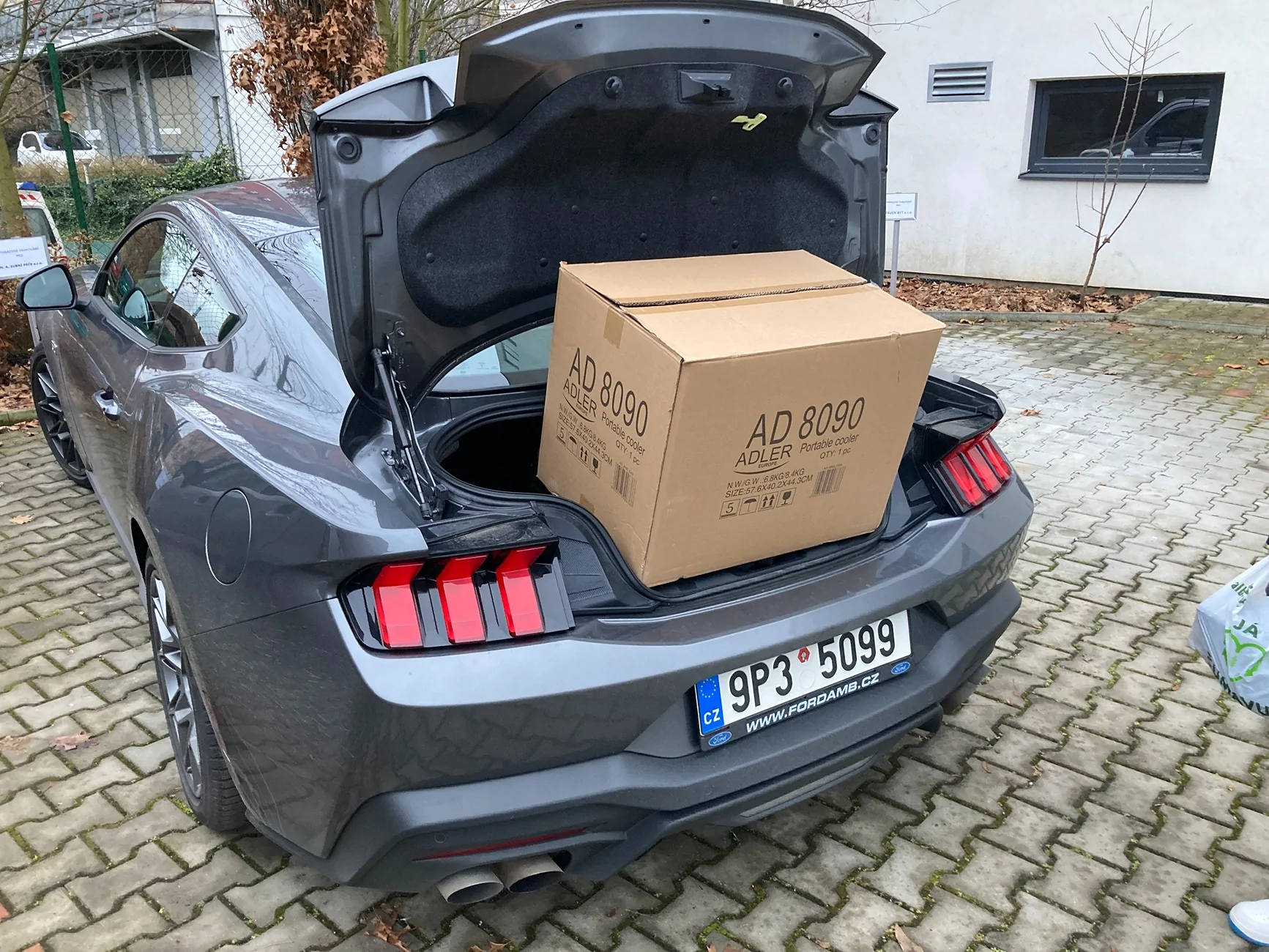 S650 Mustang Cool Daily Random S650 Mustang Pics -- Post Yours! 📸 IMG_5572