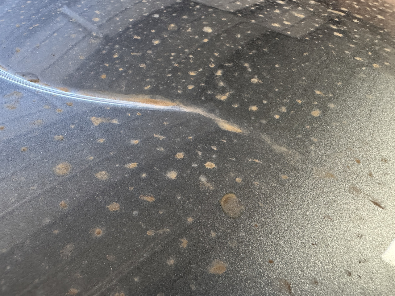 S650 Mustang DFB's Detailing Garage IMG-9852