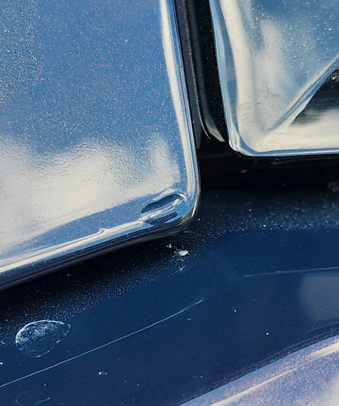 S650 Mustang Paint bubble on trunk lid, Ford denying warranty claims. Do I have any options? Screenshot_20260214_072946_Gallery