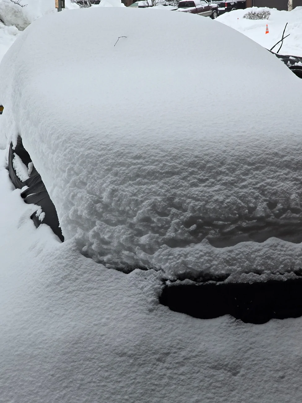 S650 Mustang Putting your car away for the winter 1000005460