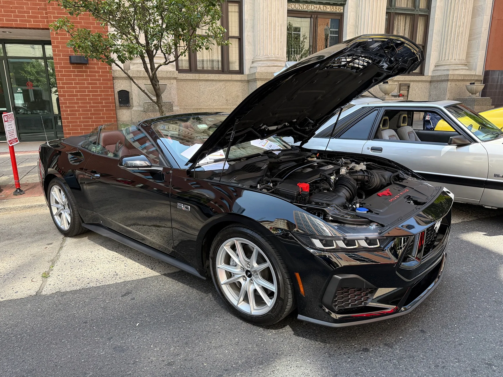 Hamilton Blvd Car Show06.webp