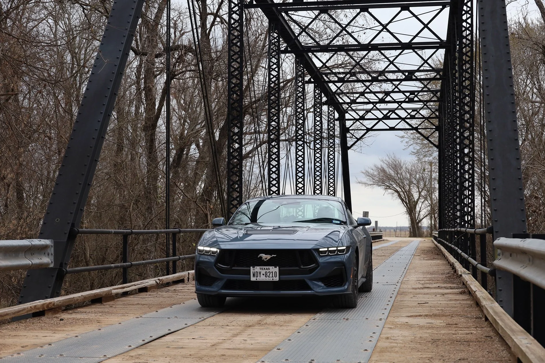 S650 Mustang Cool Daily Random S650 Mustang Pics -- Post Yours! 📸 IMG_4163