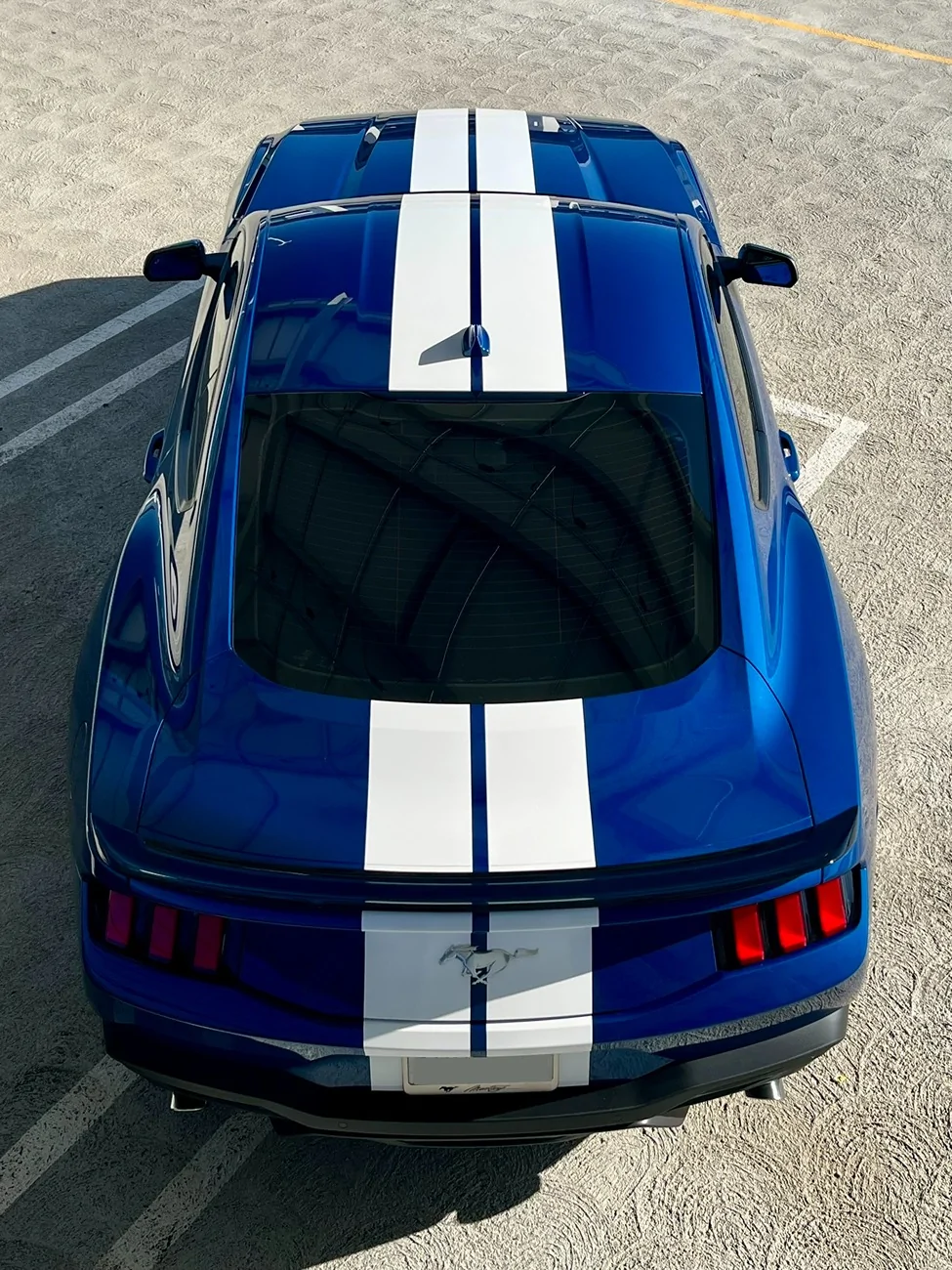 S650 Mustang Racing stripe opinions IMG_6390