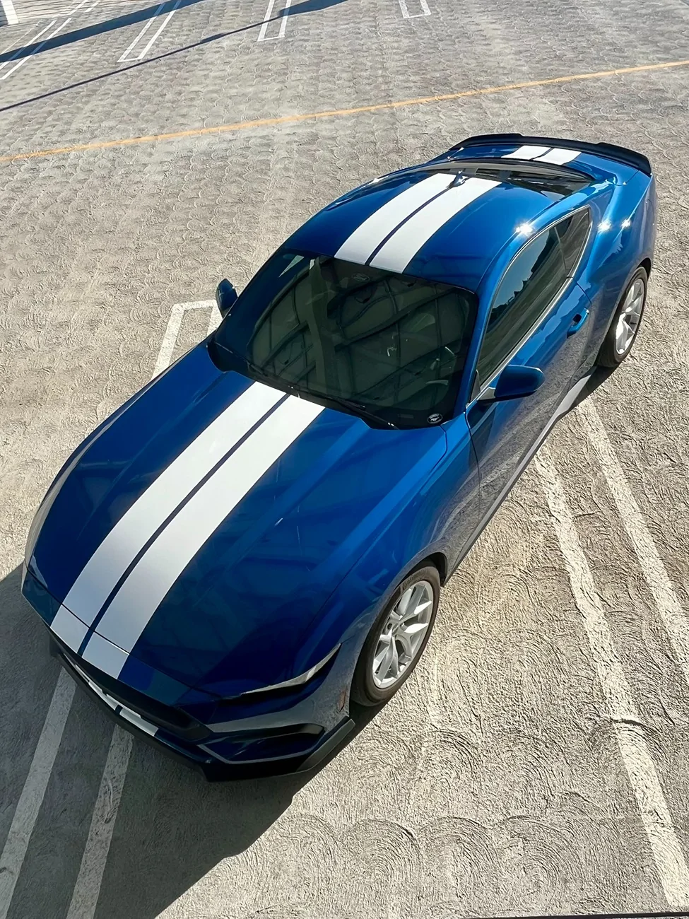 S650 Mustang Racing stripe opinions IMG_6413
