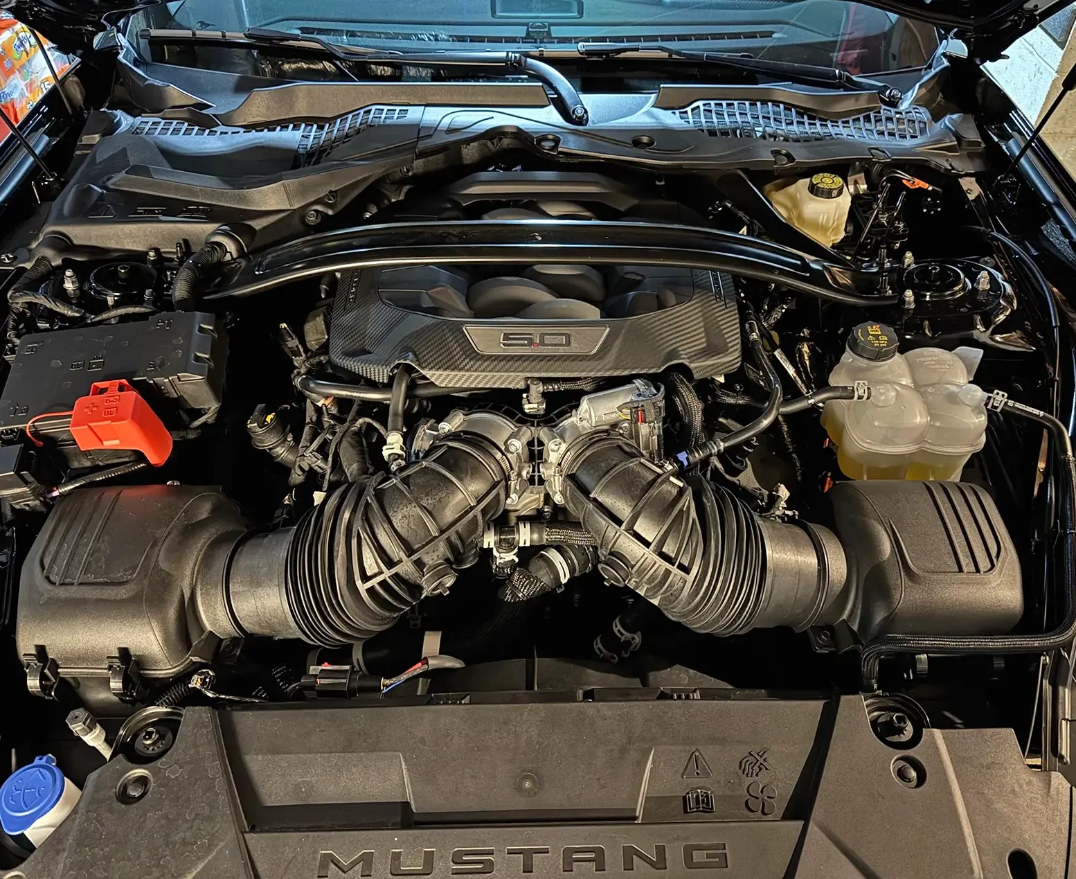 S650 Mustang Corsa Air Intake Kit Installed - It Exists! 593980-18ba0854f8f8c355fd74bd1a5567d07f