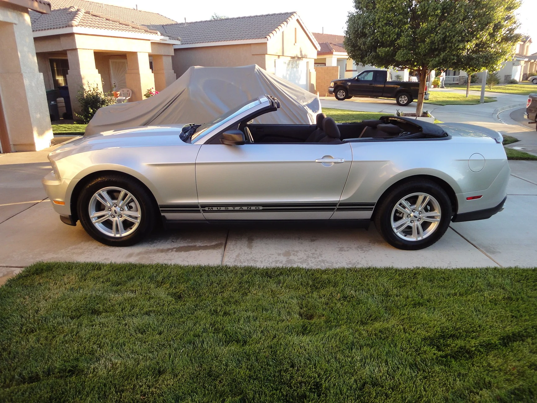 S650 Mustang Introductions & Welcome Thread 👋 DSC01072