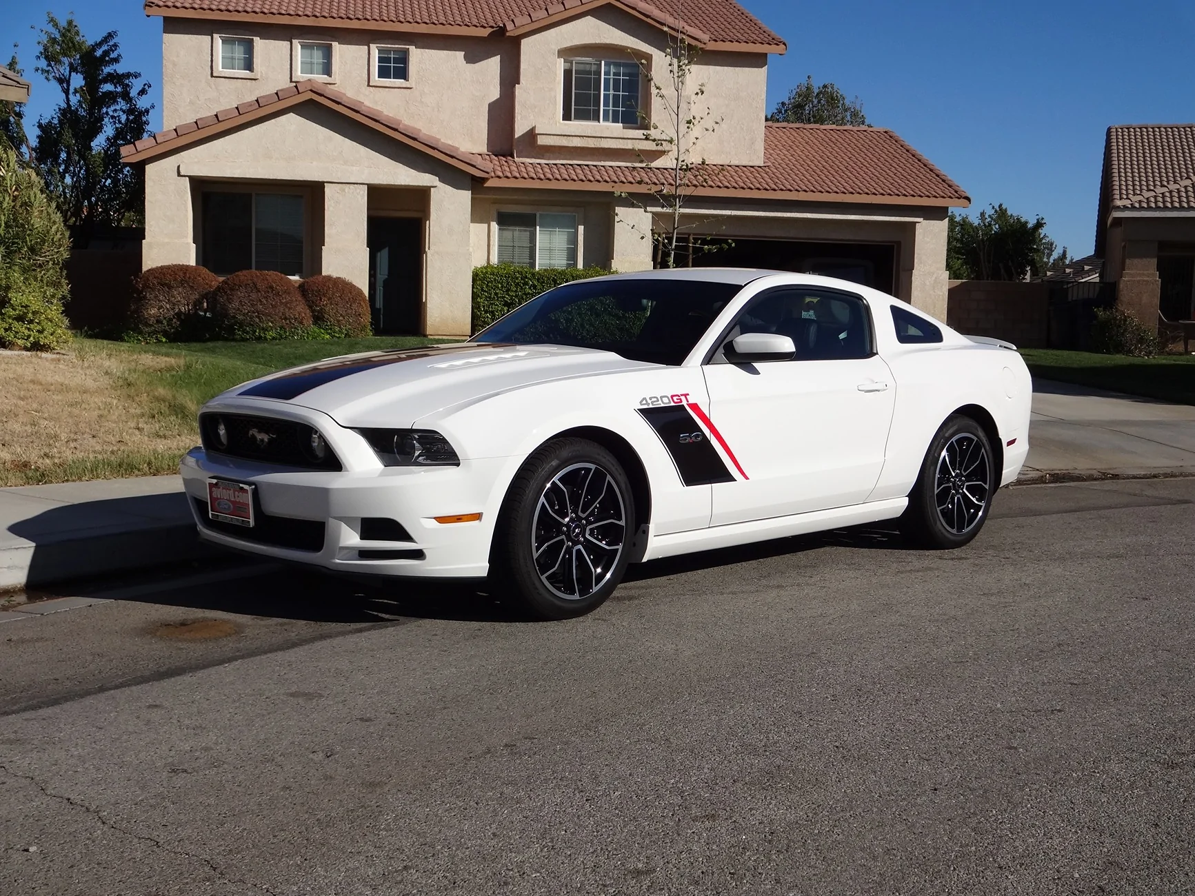 S650 Mustang Introductions & Welcome Thread 👋 DSC00094