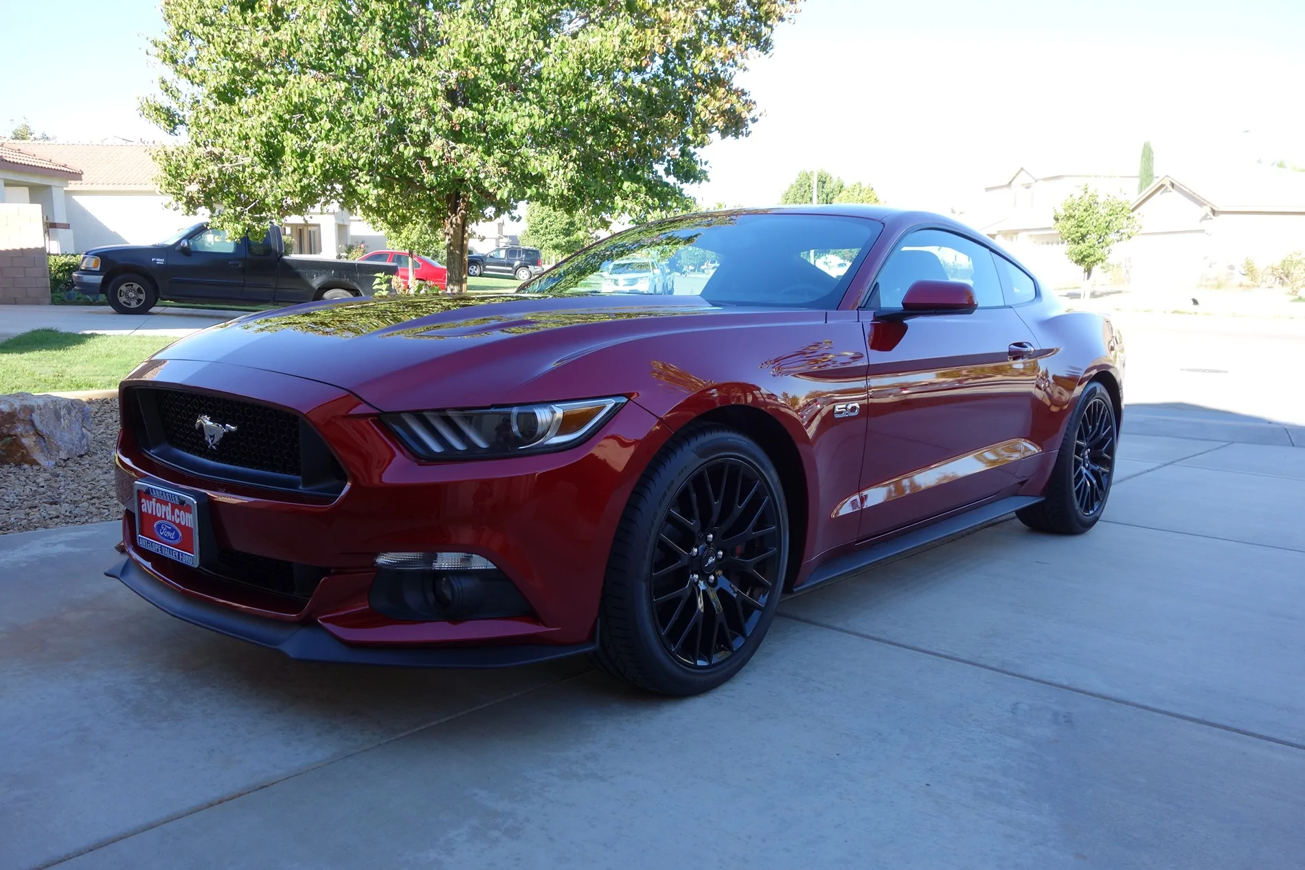 S650 Mustang Introductions & Welcome Thread 👋 DSC00227