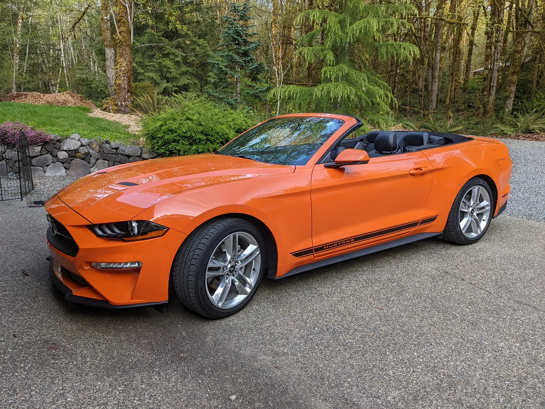 S650 Mustang Introductions & Welcome Thread 👋 PXL_20220425_020731080