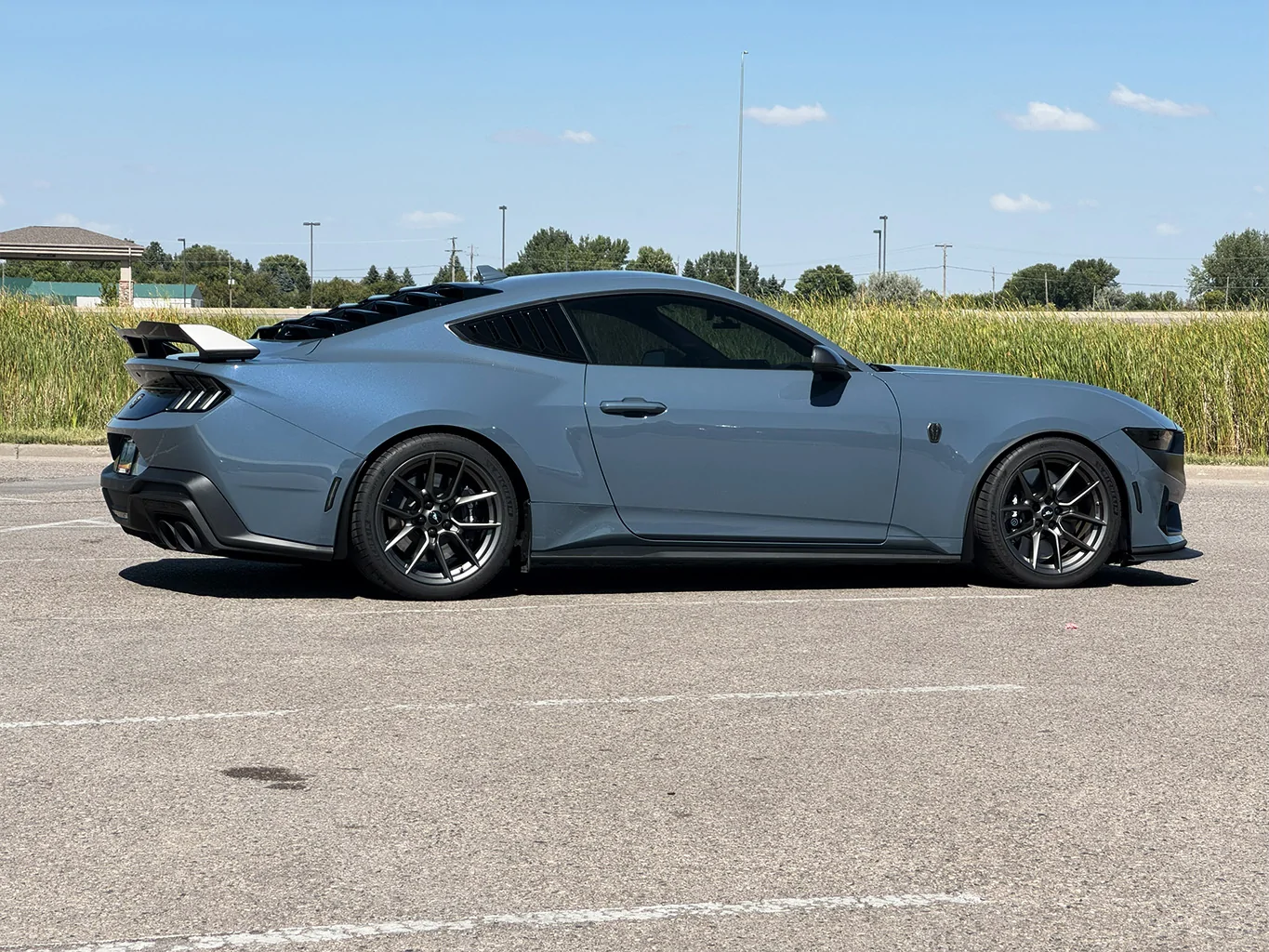 S650 Mustang Steeda - MagneRide Sports Progressive Lowering Springs IMG_0960small