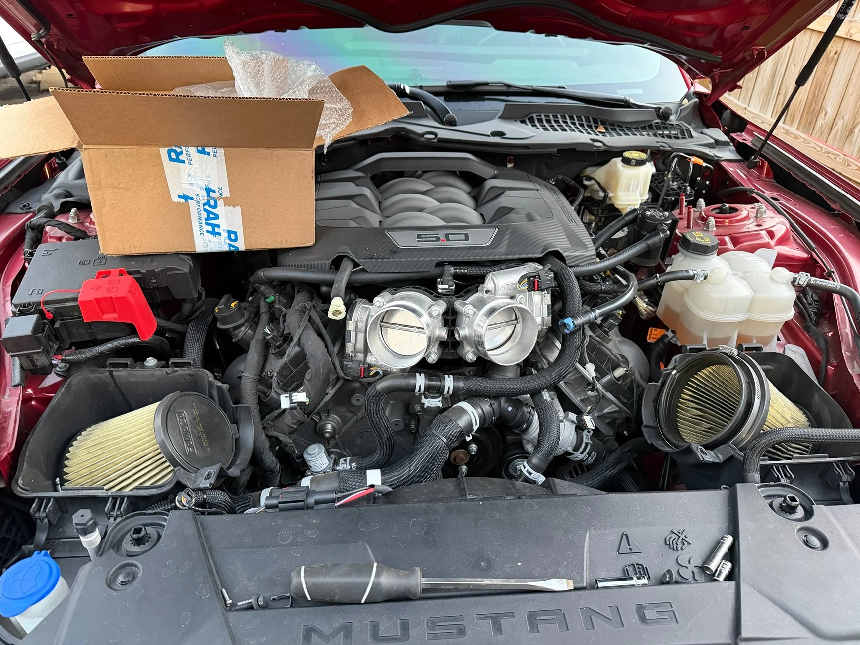 S650 Mustang What did you do to your S650 Mustang today?? 🙋🏻‍♂️ IMG_8741