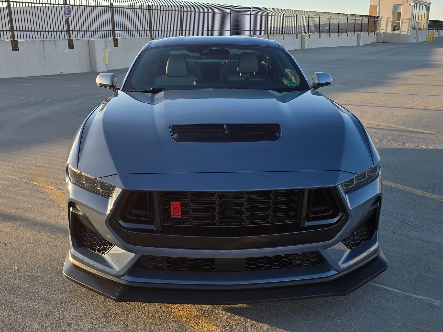 S650 Mustang What did you do to your S650 Mustang today?? 🙋🏻‍♂️ 20260228_172701