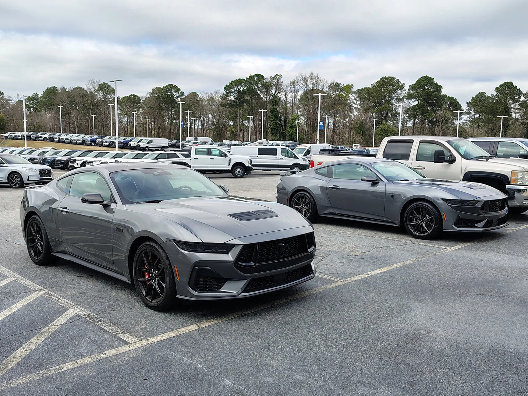 S650 Mustang What did you do to your S650 Mustang today?? 🙋🏻‍♂️ 1000000439