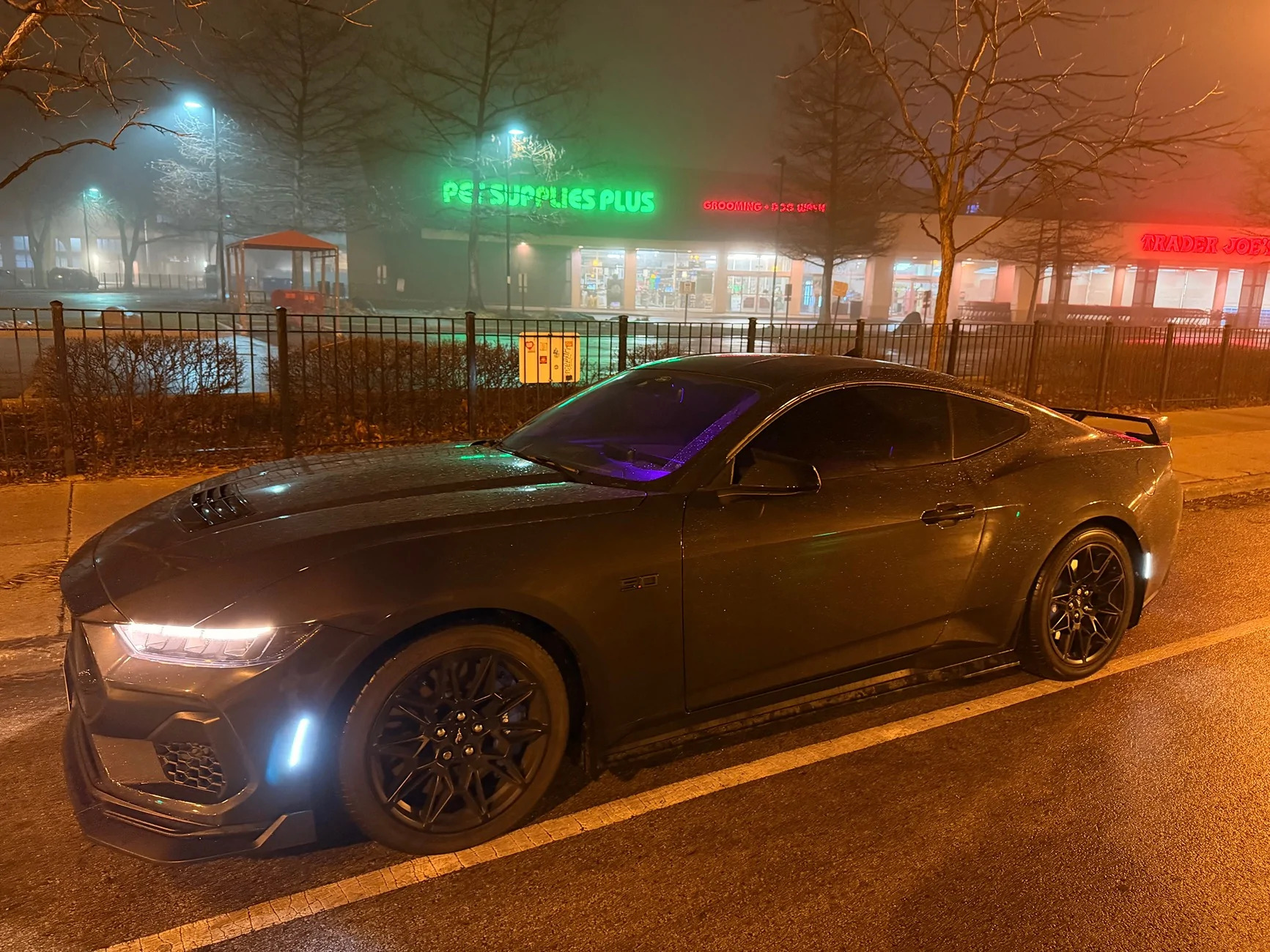 S650 Mustang Cool Daily Random S650 Mustang Pics -- Post Yours! 📸 IMG_0711