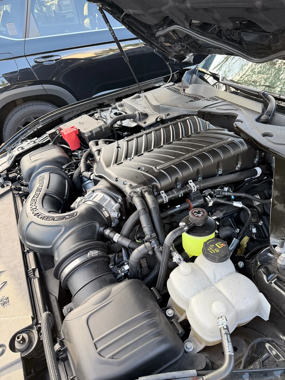 S650 Mustang Whipple finally installed! IMG_1475