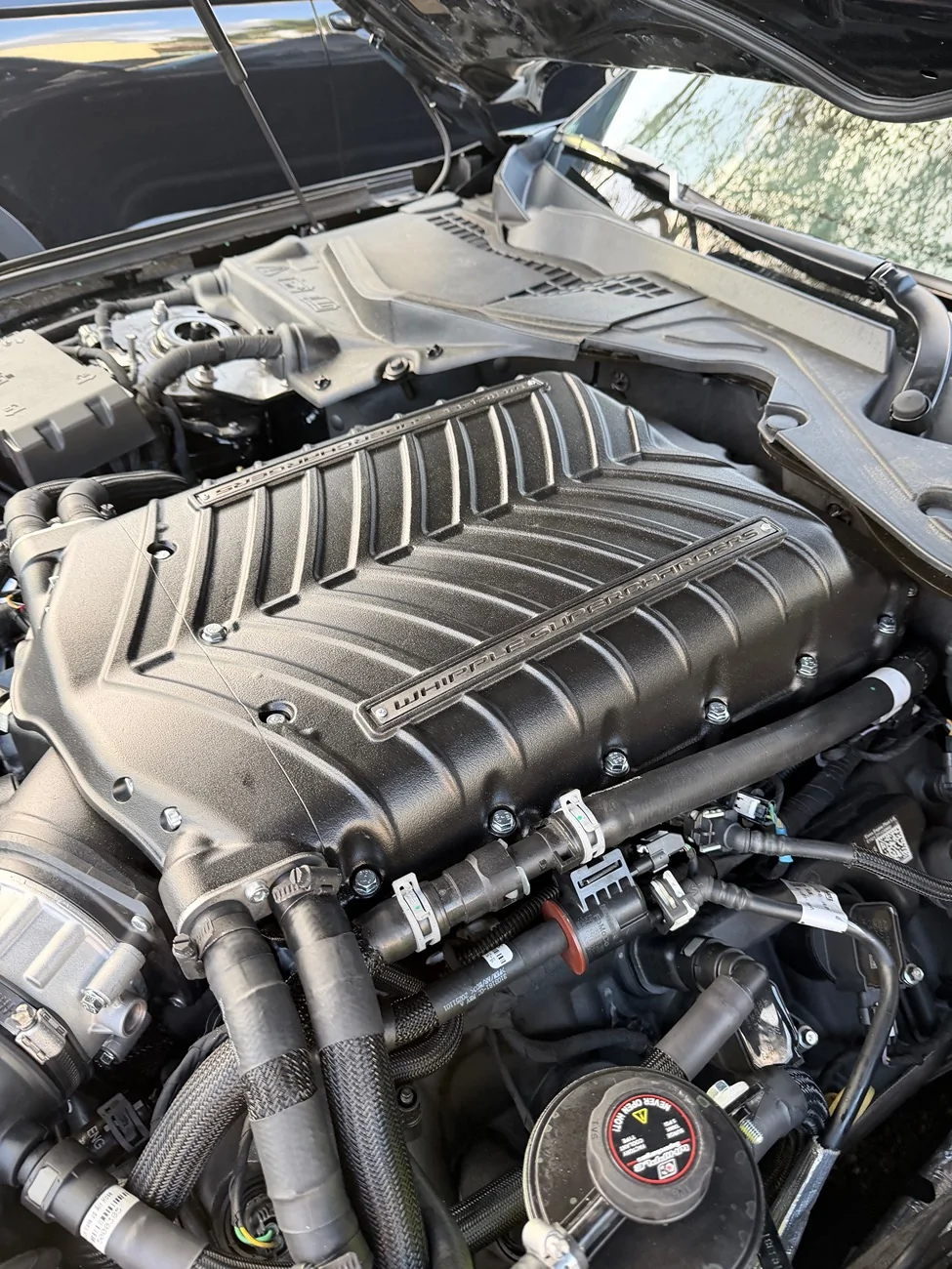 S650 Mustang Whipple finally installed! IMG_1474
