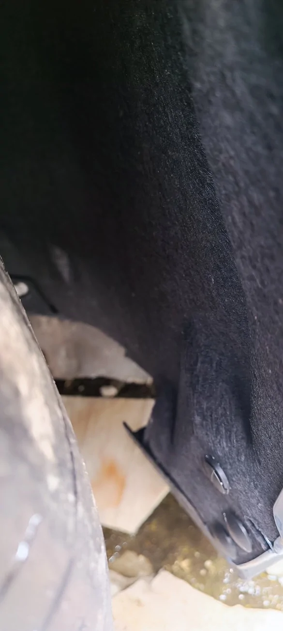 S650 Mustang Patched My Fender Well Holes - DIY Instructions & Photos IMG_20260306_154946