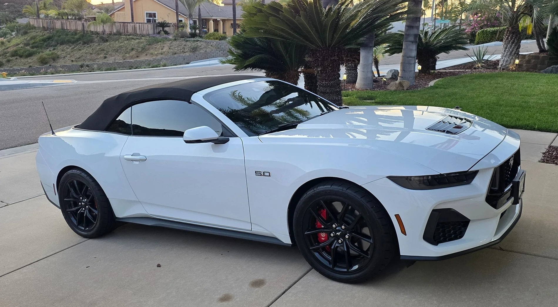 S650 Mustang New Mustang GT Convertible 12326
