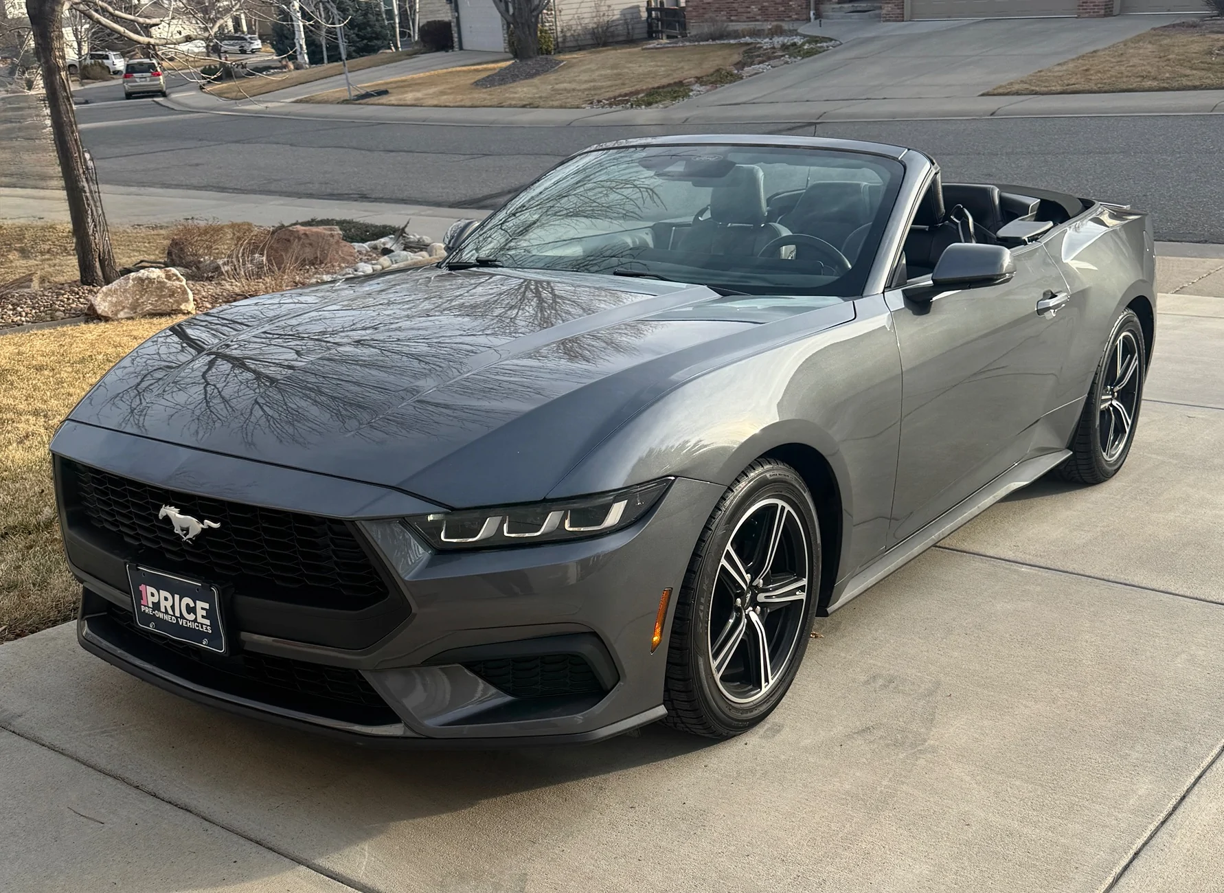 S650 Mustang Introductions & Welcome Thread 👋 IMG_1252