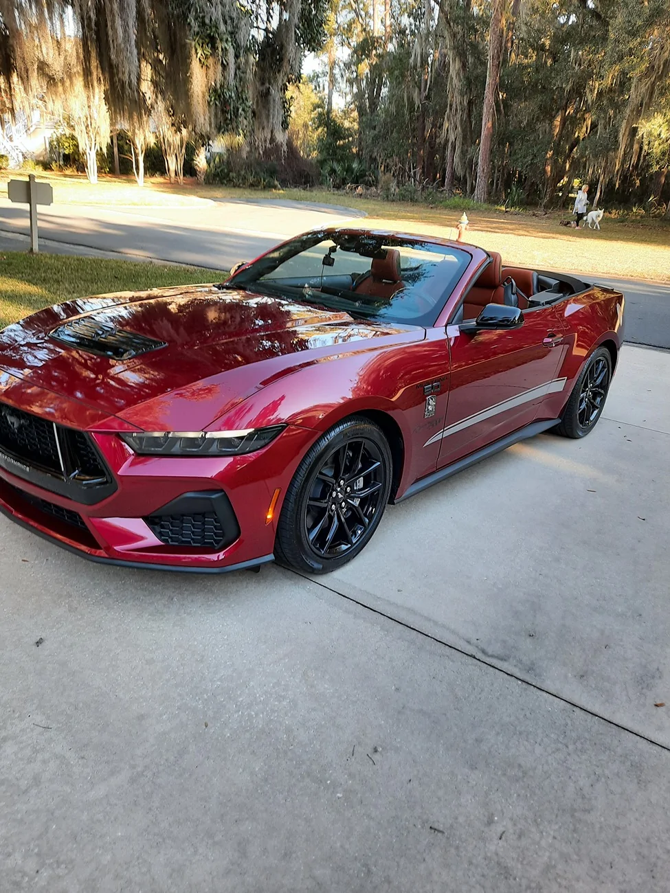 S650 Mustang At what price does the Mustang start to make no sense? 20260122_161002