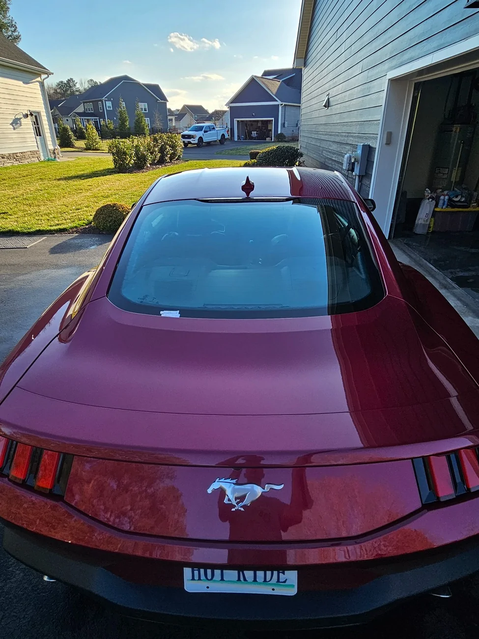 S650 Mustang DAR Spoiler - I am 1000% satisfied 1000015824