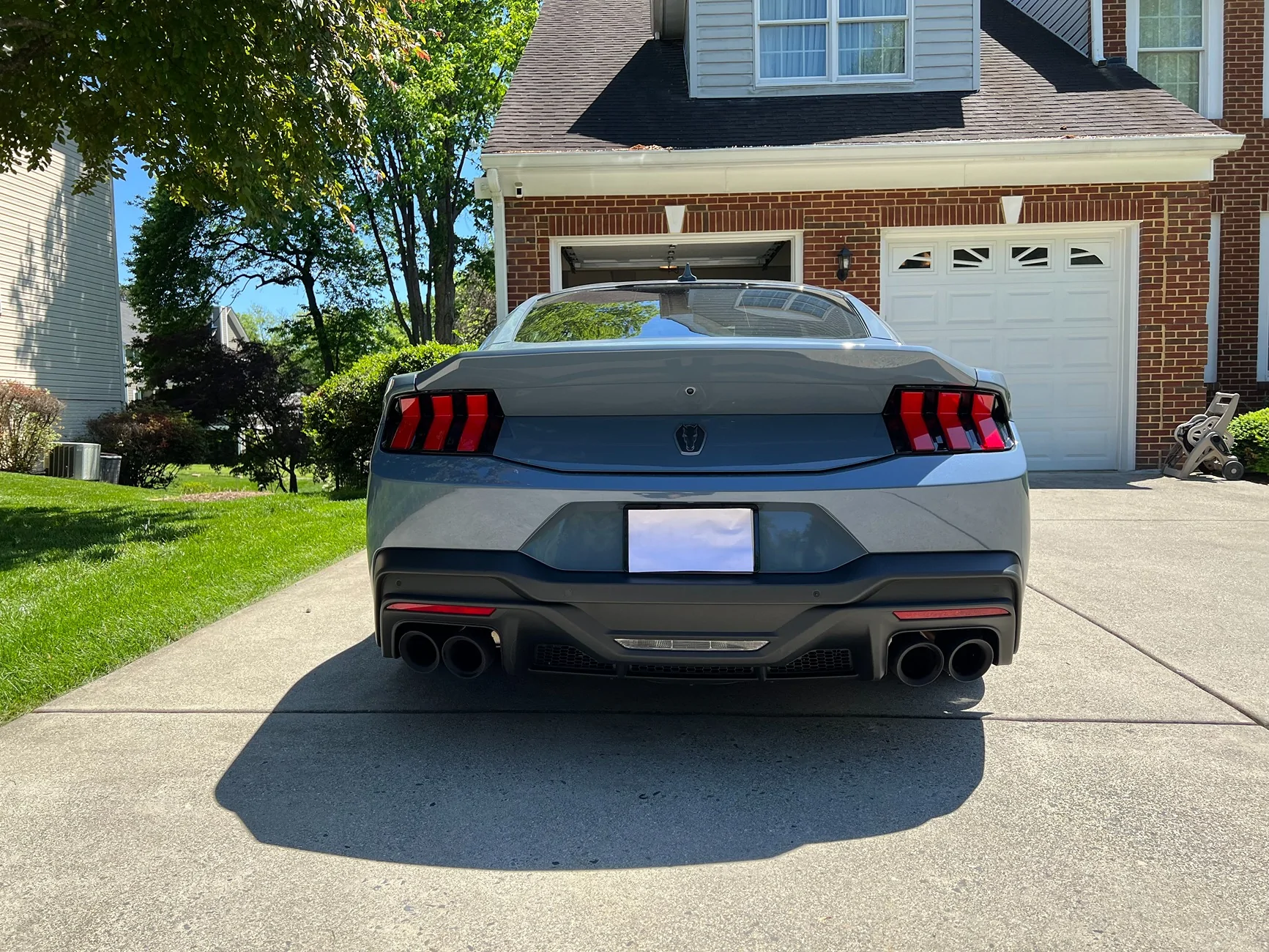 Mustang DH 1.webp
