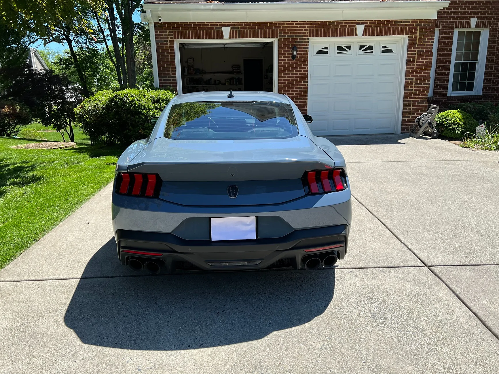 Mustang DH 2.webp