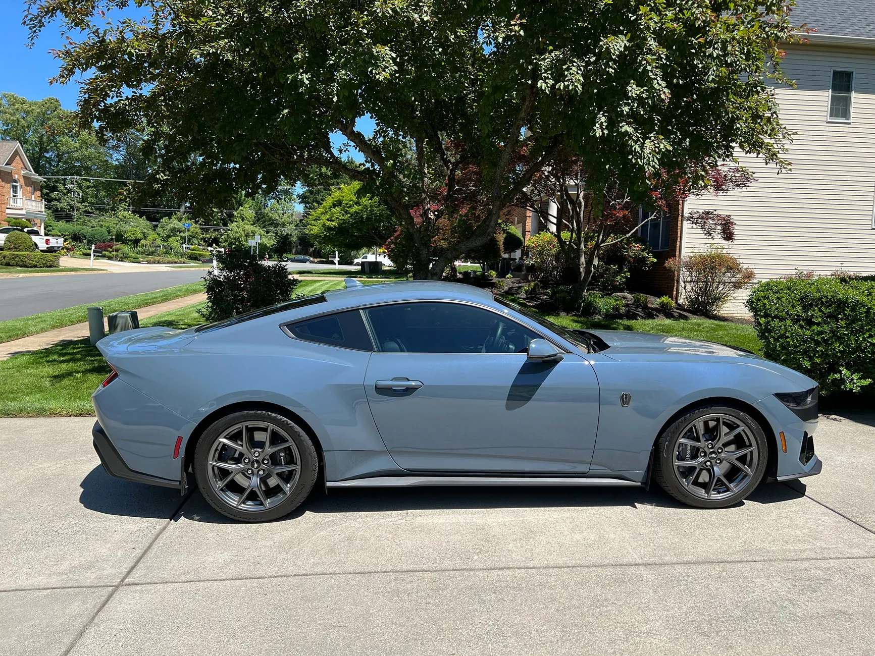 Mustang DH 3.webp