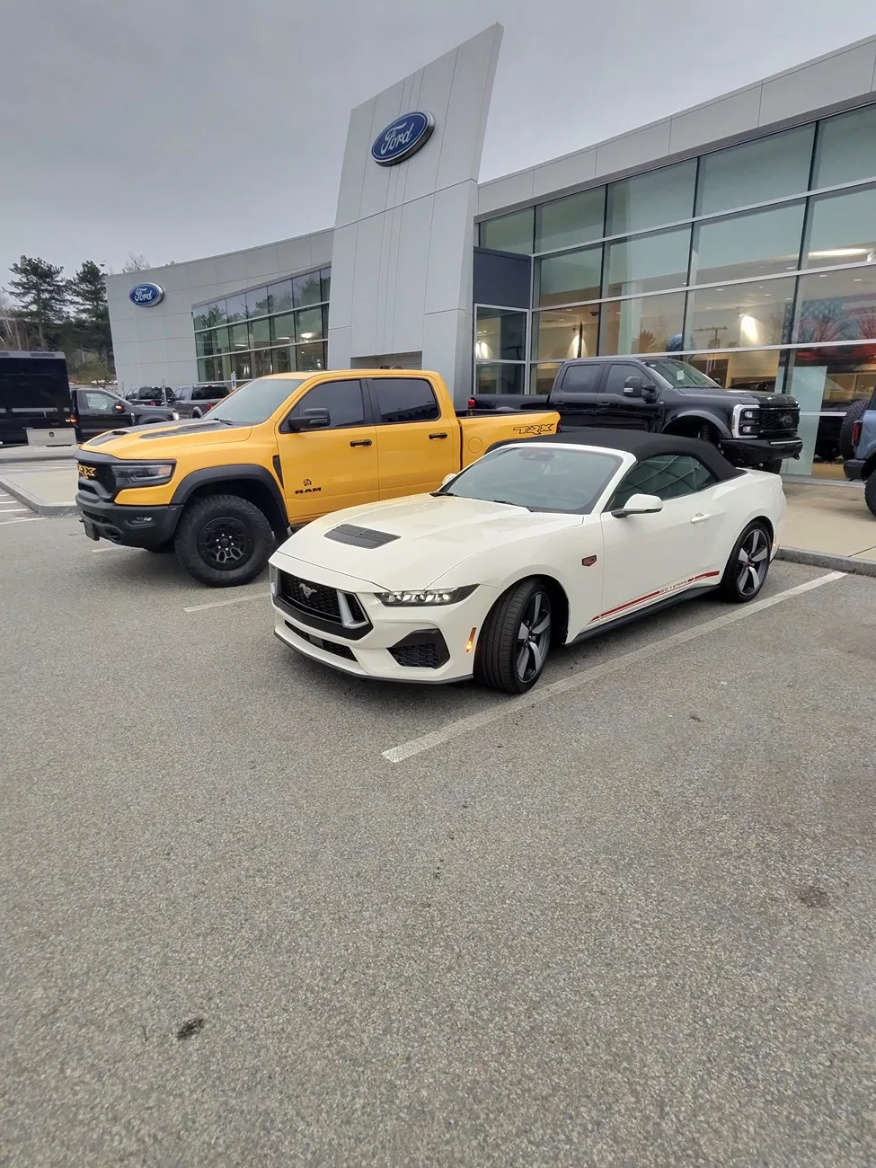 S650 Mustang Unofficial 2025 60th Anniversary Edition Mustang Registry photo-683_singular_display_fullPictur