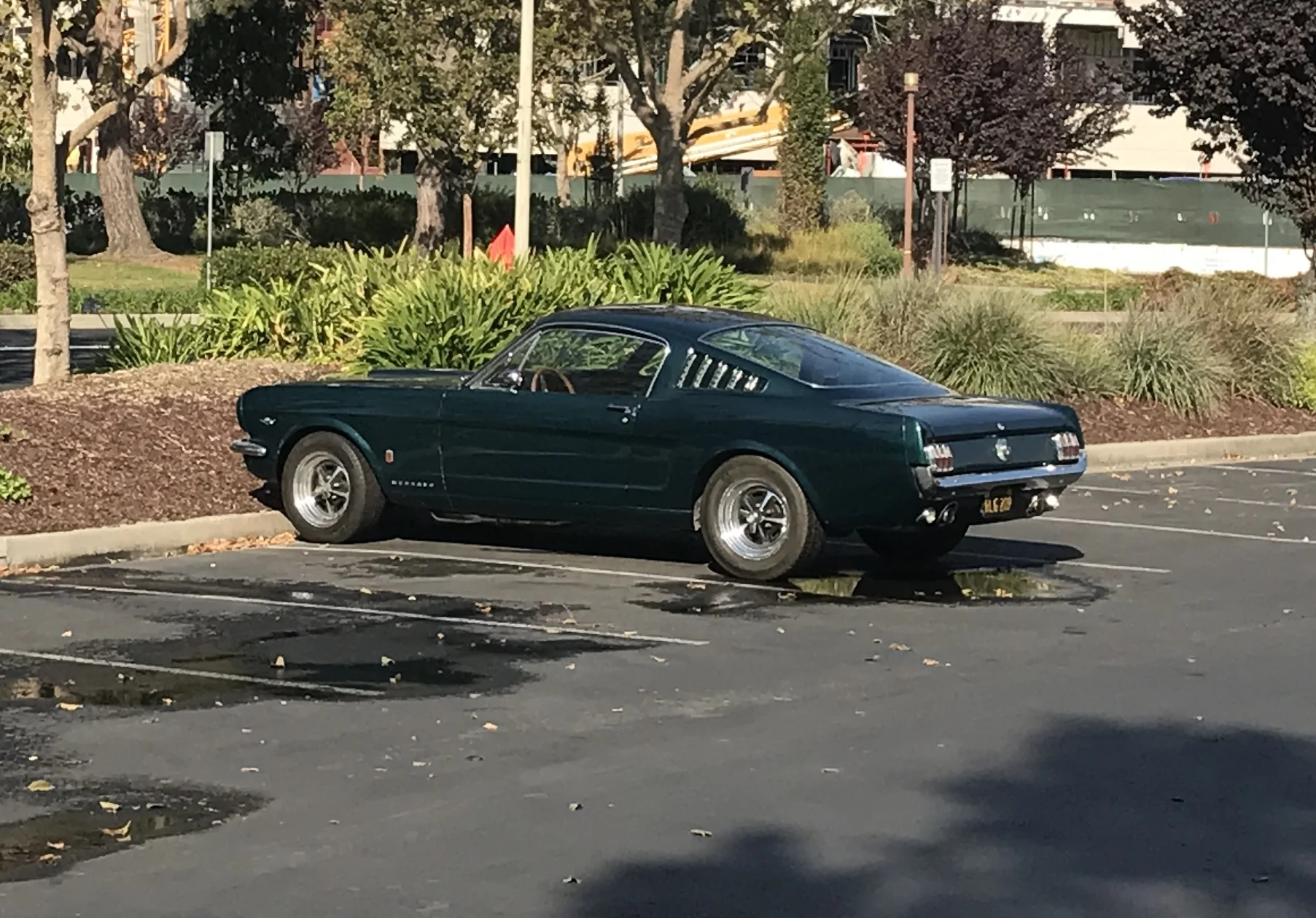 S650 Mustang Introductions & Welcome Thread 👋 IMG_1984