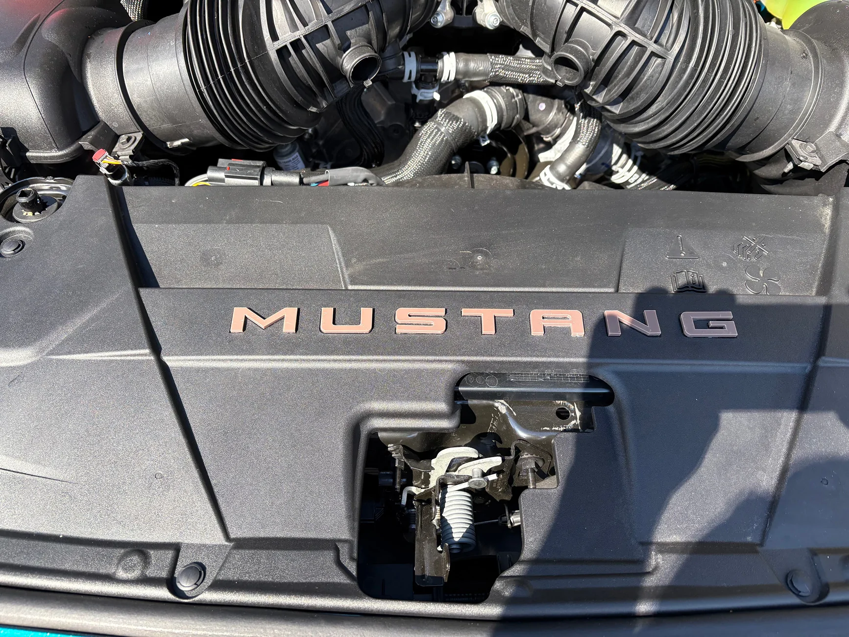 S650 Mustang What did you do to your S650 Mustang today?? 🙋🏻‍♂️ IMG_0138