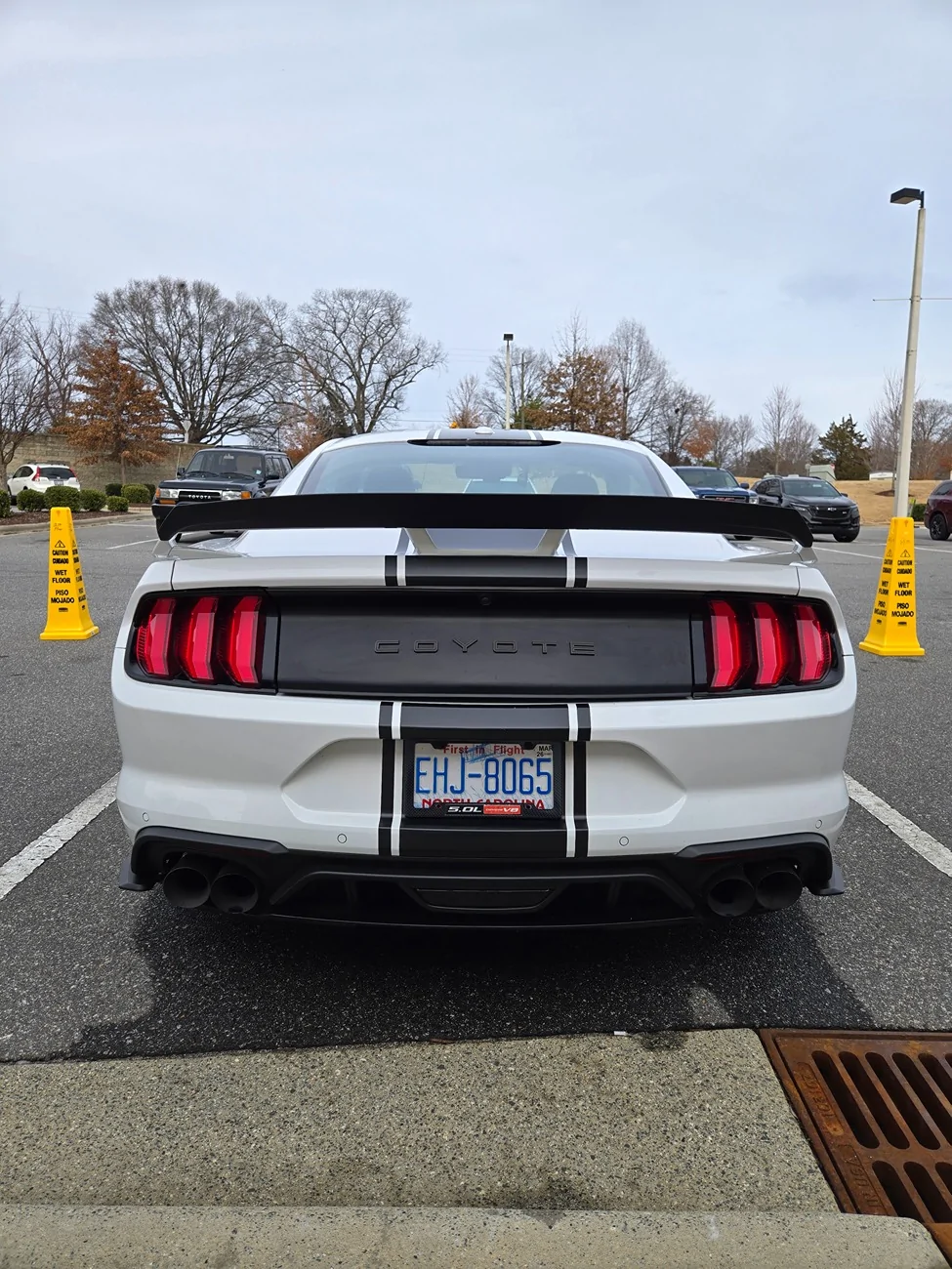 S650 Mustang 2019 Mustang GT Fastback (Troutman NC)($36,500) 20260217_144416