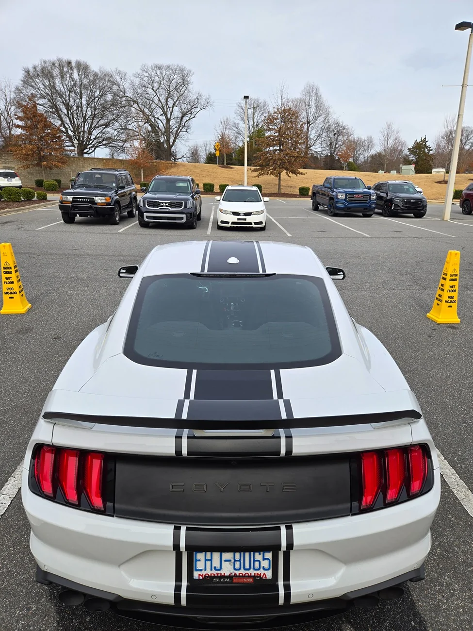 S650 Mustang 2019 Mustang GT Fastback (Troutman NC)($36,500) 20260217_144434