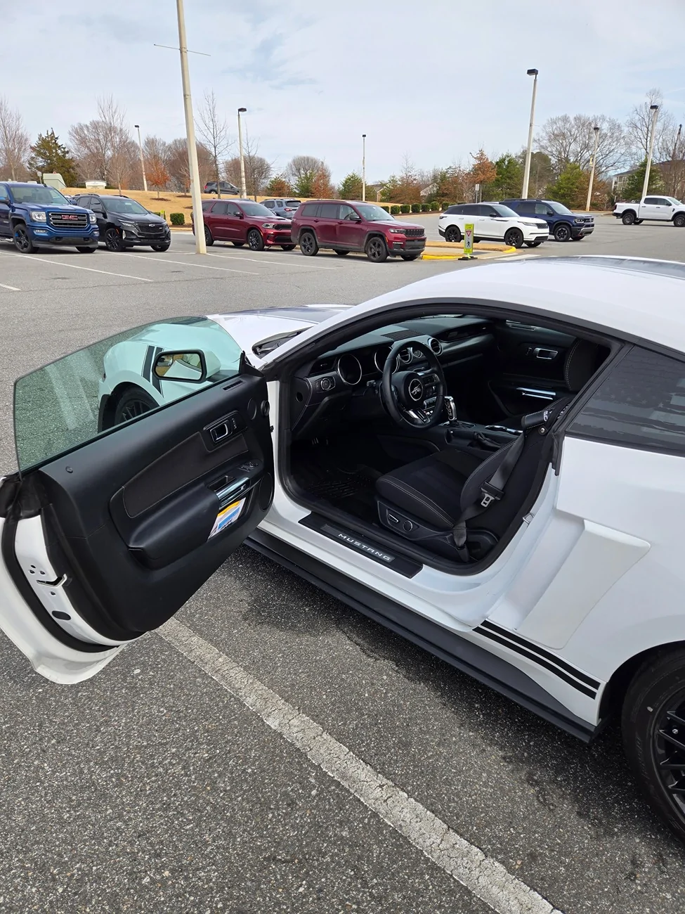 S650 Mustang 2019 Mustang GT Fastback (Troutman NC)($36,500) 20260217_144726
