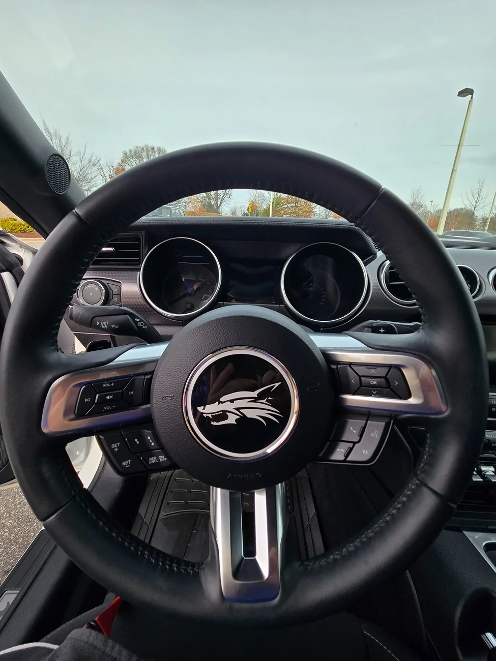 S650 Mustang 2019 Mustang GT Fastback (Troutman NC)($36,500) 20260217_144908
